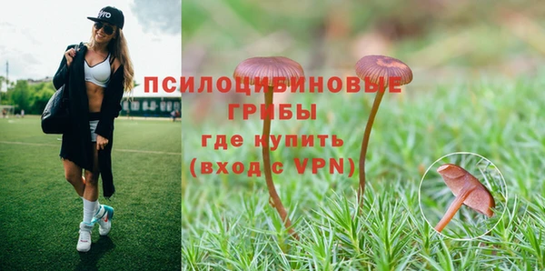 мет Нягань