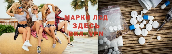 прущие грибы Няндома